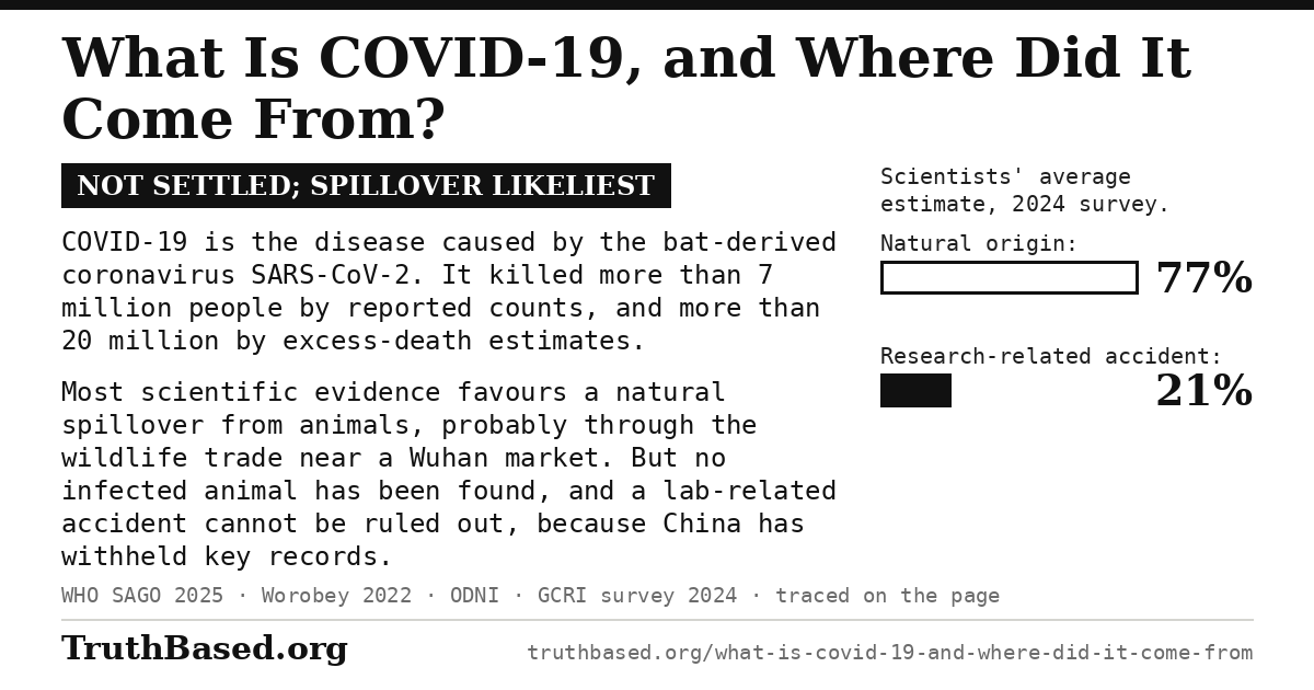 Verdict card: what is COVID-19, and where did it come from; the origin is not settled, with a natural spillover best supported. COVID-19 is the disease caused by the bat-derived coronavirus SARS-CoV-2. It killed more than 7 million people by reported counts and more than 20 million by excess-death estimates. Most scientific evidence favours a natural spillover from animals, probably through the wildlife trade near a Wuhan market, but no infected animal has been found and a lab-related accident cannot be ruled out, because China has withheld key records. Bars: a 2024 survey of scientists gave a natural origin an average 77% chance and a research-related accident 21%.